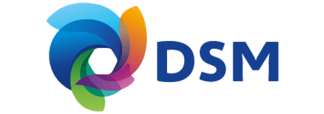 dsm logo